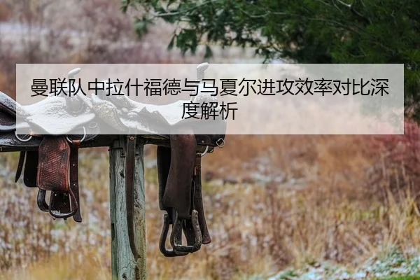 曼联队中拉什福德与马夏尔进攻效率对比深度解析